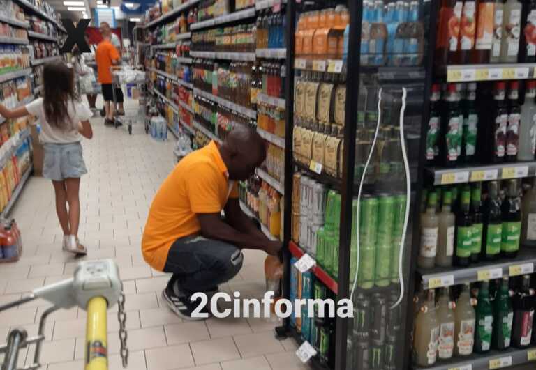 Da 5 anni aiuta i clienti con le buste della spesa: ora Stanley è stato assunto dal supermercato
