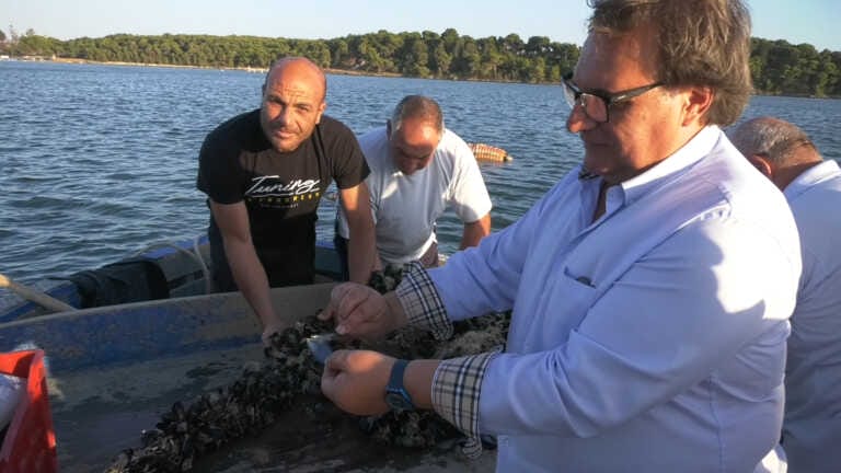Taranto, scontro sulla crisi della mitilicoltura. «In Consiglio si litiga ma nessuna soluzione»