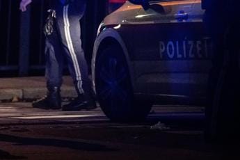 Galleria foto 'Trovato corpo bimbo nel Danubio dopo aggressione padre a madre' - foto 1