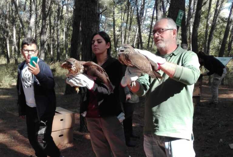 Accolti e curati dai veterinari in tutta la Puglia, volatili tornano in libertà nella “piccola Oasi” di Polignano