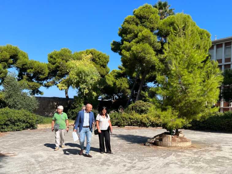 Galleria foto 'Bari, ispezione nel parco del Castello: previste nuove installazioni ed elementi di arredo' - foto 3