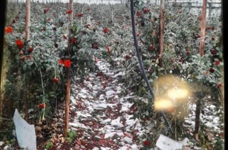 Maltempo, la conta dei danni: «È un disastro, c’è chi ha perso tutto». Distrutte intere produzioni – FOTO