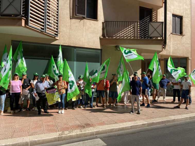 Taranto, sit-in dei viticoltori davanti alla Prefettura: «Speculazione feroce, così naufraga il settore»