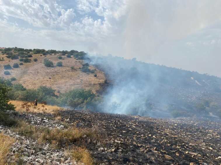 Due incendi sono in corso nel nord Barese: sconosciute le cause dei roghi