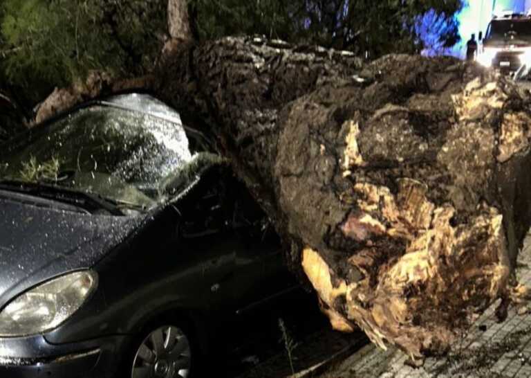 Bufera a Taranto, un albero si spezza e centra in pieno un’auto con una famiglia a bordo: tutti i danni