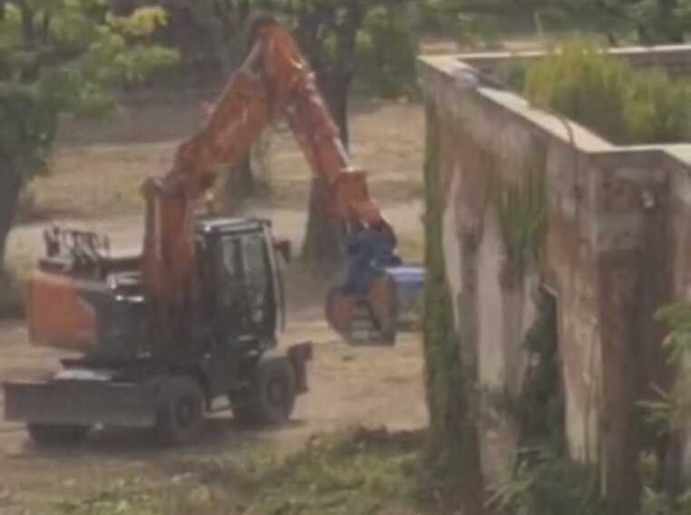 Parco della giustizia, le motoseghe allarmano gli ambientalisti a Bari: gli alberi “intoccabili” fino a ottobre