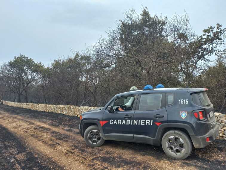 Incendio nella pineta di Castel del Monte: le operazioni di spegnimento sono durate tutta la notte – FOTO