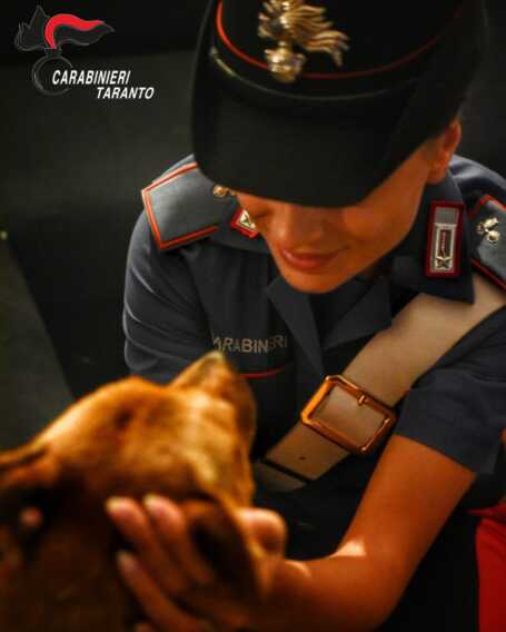 Galleria foto 'La cagnolina Fiammetta maltrattata e presa a calci a Martina Franca: salvata e adottata dai carabinieri' - foto 1