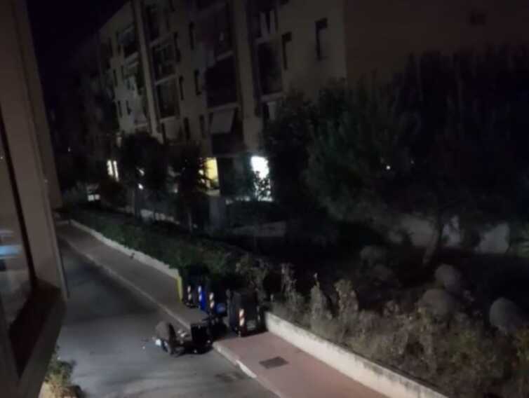 Bari, cinghiali a spasso al San Paolo: un branco di 20 esemplari sfonda un recinto. Allarme tra i residenti – VIDEO