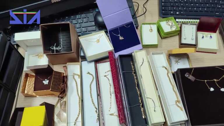 Ricettavano oro e gioielli dopo furti in appartamento: arrestate 8 persone in tutta Italia, anche nel Foggiano – VIDEO