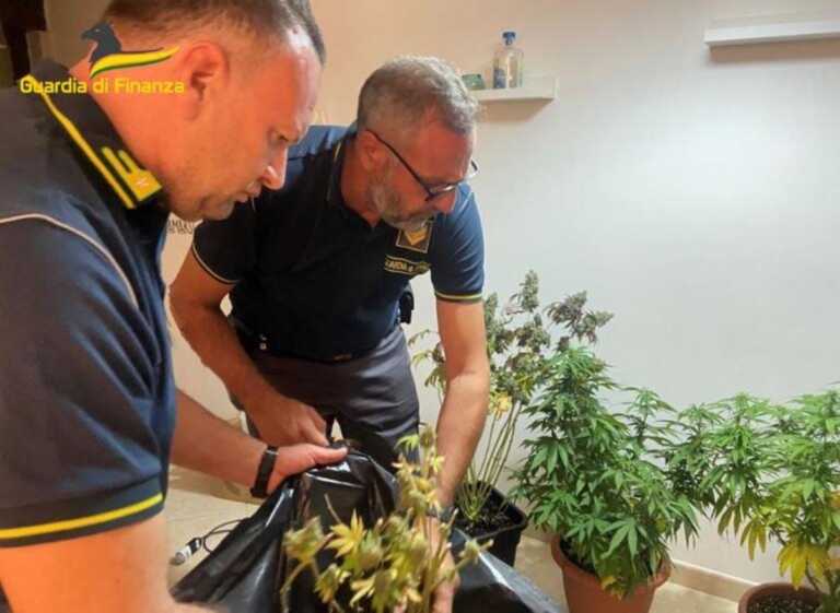Coltivava marijuana in un appartamento del centro storico di Altamura: denunciato un giovane