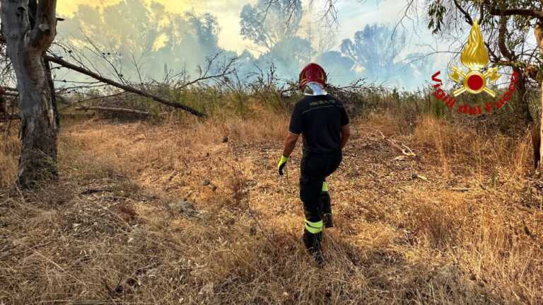 Brucia ancora il bosco Buia a Lequile: un altro incendio dopo quello divampato domenica sera – VIDEO