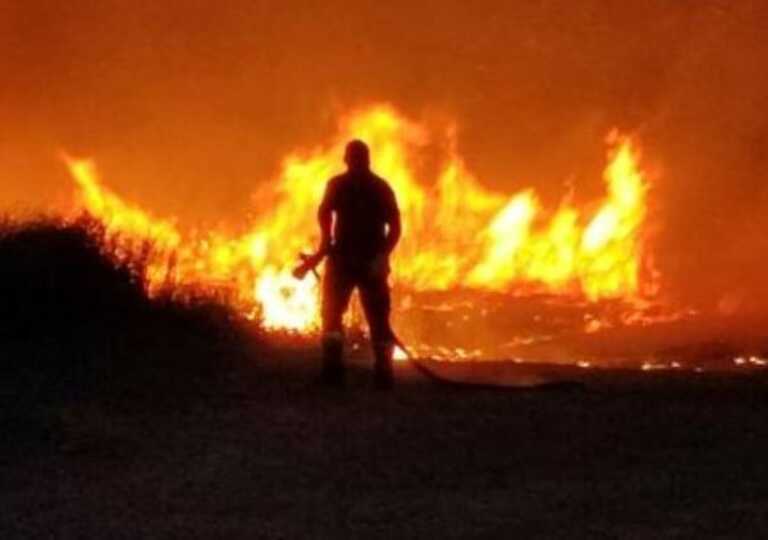 L’indagine sulle speculazioni nel turismo salentino: un bosco in fiamme per fare spazio al parcheggio