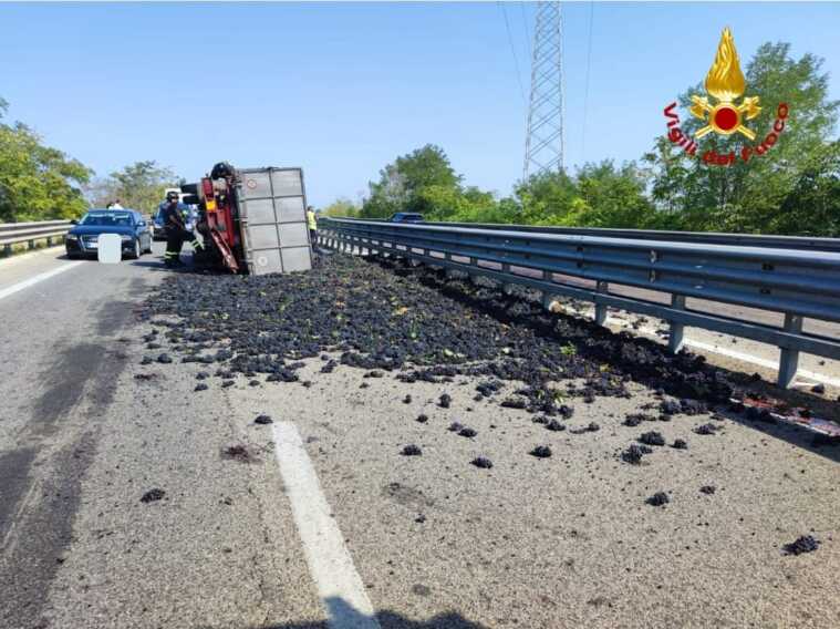 Galleria foto 'Scoppia uno pneumatico e il camion carico d’uva si ribalta sulla statale 7 nel Brindisino: autista in ospedale' - foto 3