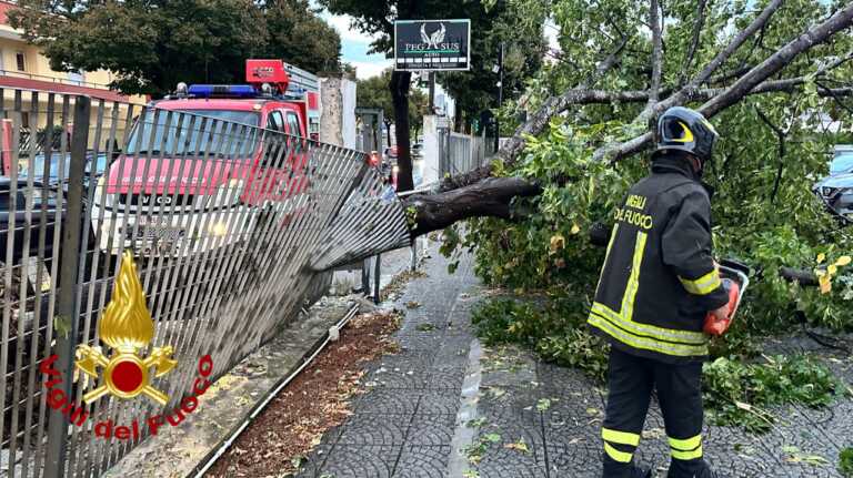 Galleria foto 'Pioggia e vento a Lecce e provincia: alberi si abbattono sulle auto. Diversi gli interventi dei vigili del fuoco – VIDEO' - foto 3