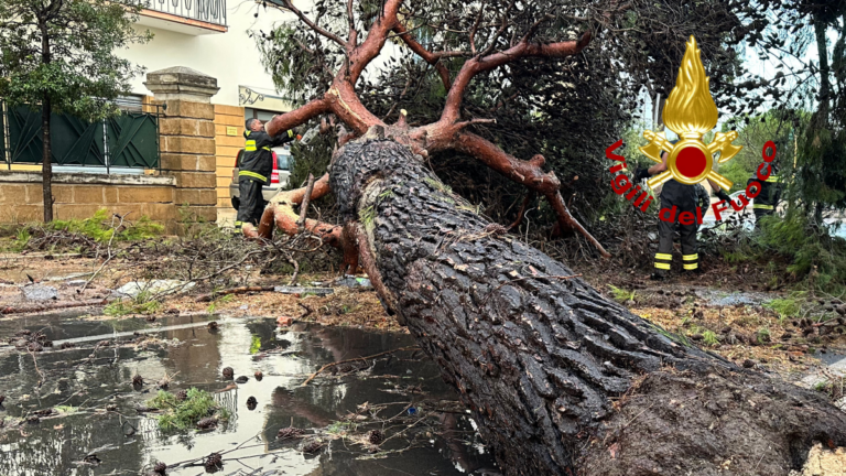 Pioggia e vento a Lecce e provincia: alberi si abbattono sulle auto. Diversi gli interventi dei vigili del fuoco – VIDEO