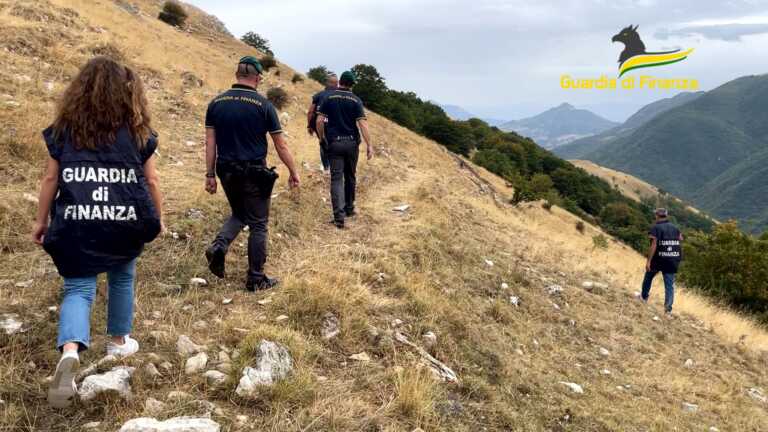 Galleria foto 'Pascoli fantasma e maxi truffa sui contributi Ue in agricoltura: lo zampino della mafia foggiana – VIDEO' - foto 1