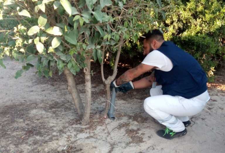 Topi a spasso sulla spiaggia cittadina di Pane e pomodoro. L’appello: «Non abbandonate avanzi di cibo»
