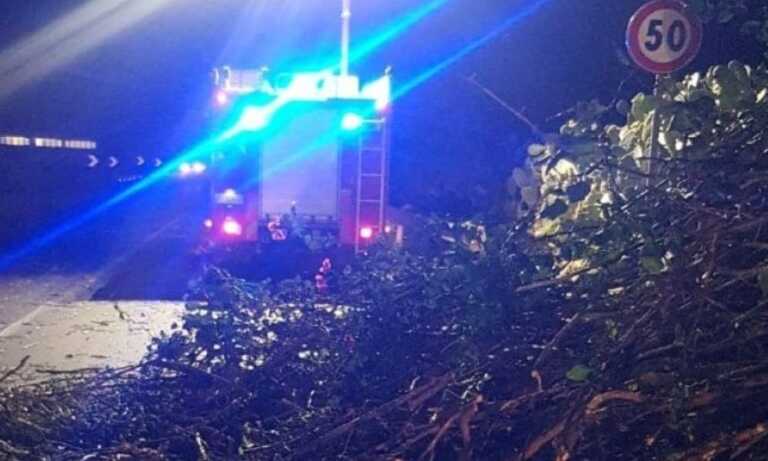 Incendio a Torre Canne, fiamme alimentate dal forte vento sfiorano le abitazioni