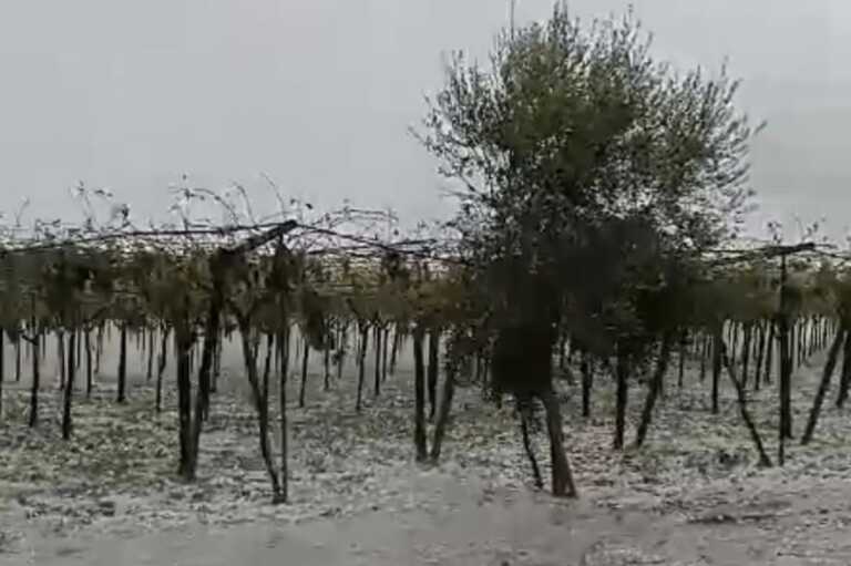 Maltempo, il Consiglio regionale della Puglia approva la mozione per chiedere lo stato di calamità