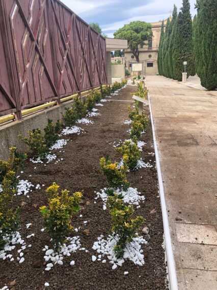 Commemorazione dei defunti: aperture straordinarie per i cimiteri di Bari Commemorazione dei defunti: aperture straordinarie per i cimiteri di Bari