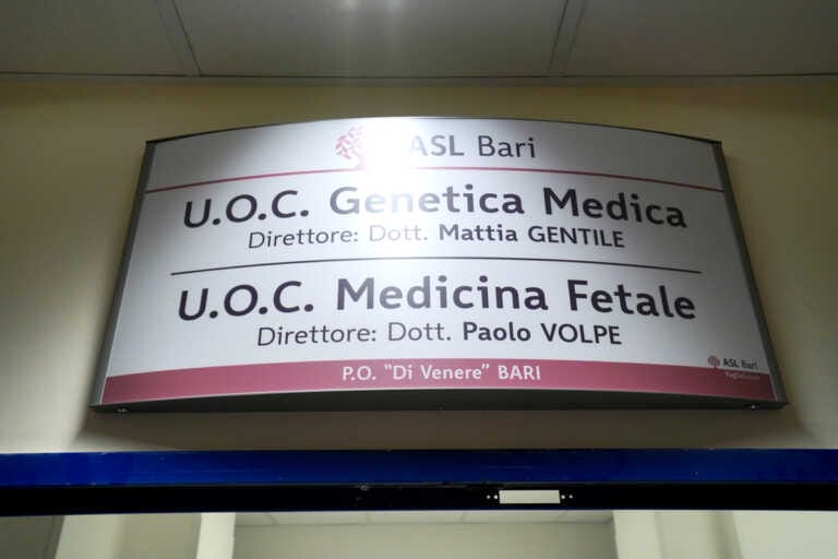 Galleria foto 'Bari, nuovo caso di Sma in un neonato: scoperto grazie allo screening obbligatorio' - foto 3