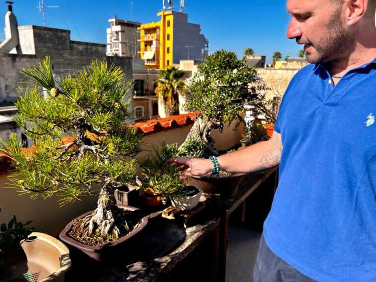 Costretto a chiudere l’azienda a Trani, Michele si reinventa: «I bonsai il mio nuovo lavoro»