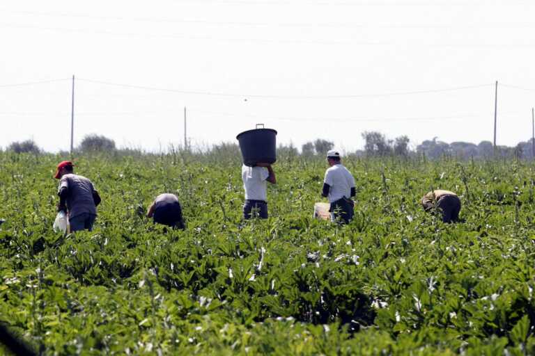 Schiavi della tratta “liberati”: i numeri dello sfruttamento in Puglia