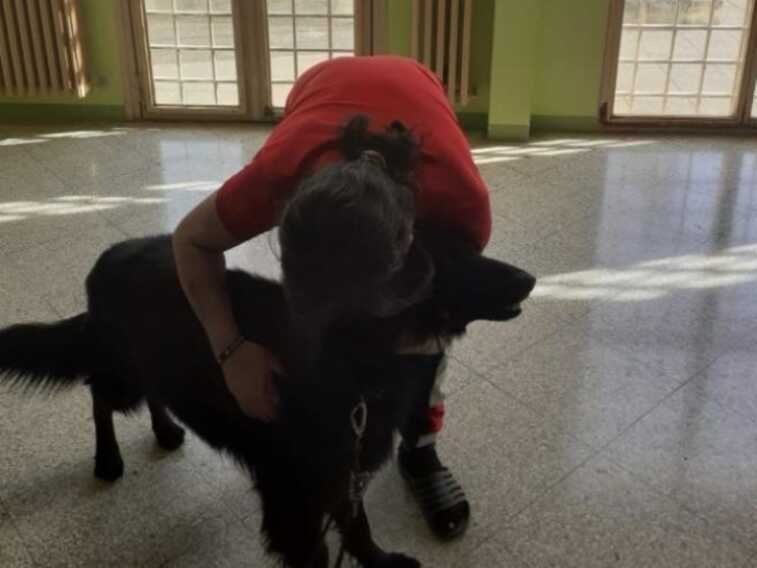 Lecce, nessuno va a trovarlo in cella: gli permettono di rivedere il suo cane