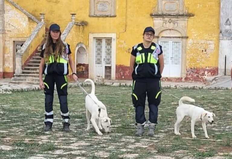 I cani in campo per combattere la Xylella: via al progetto in Puglia