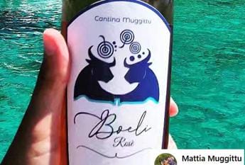 Galleria foto 'Cantina sarda la spunta sulla Red Bull: “Davide ha vinto su Golia”' - foto 1