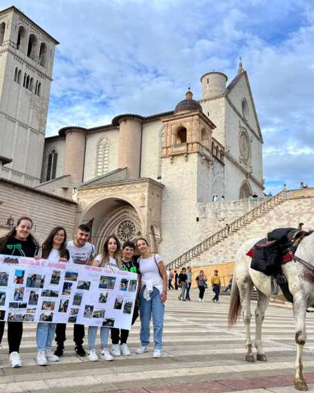 Galleria foto 'Da Lagonegro ad Assisi, 500 km a piedi con il suo cavallo cieco: l’impresa di Cono La Veglia' - foto 1