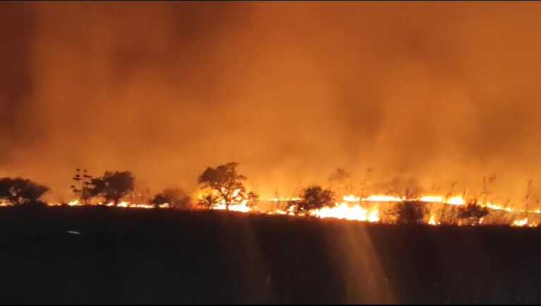 Incendio sulla Murgia tra Andria e Minervino: vigili del fuoco al lavoro – VIDEO