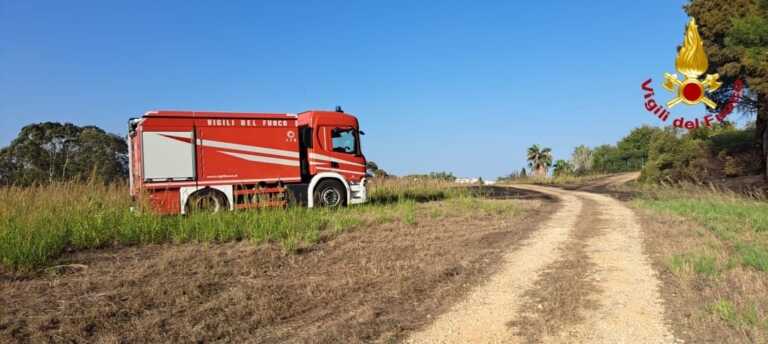 Galleria foto 'Incendio nel parco urbano del Cillarese a Brindisi: in fiamme 7 ettari di sottobosco – VIDEO' - foto 1