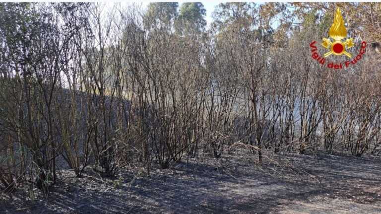 Incendio nel parco urbano del Cillarese a Brindisi: in fiamme 7 ettari di sottobosco – VIDEO