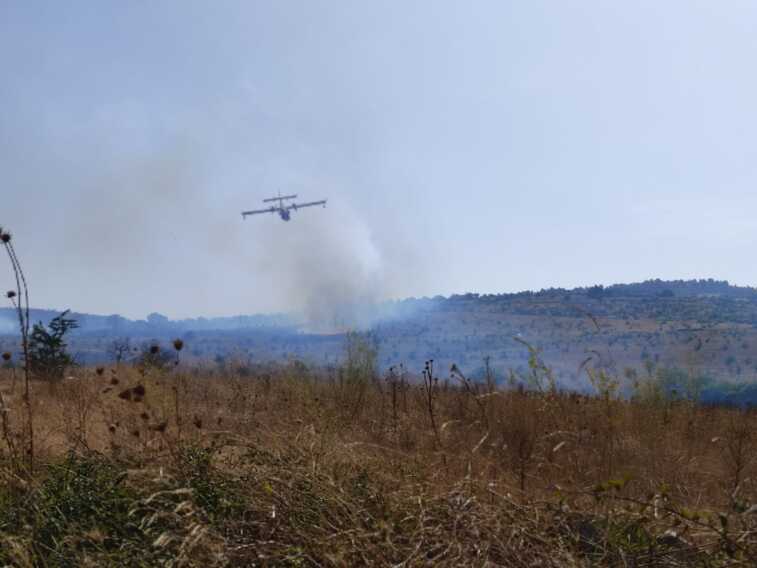 Minervino Murge, brucia il bosco Montelisciacoli: fiamme alimentate dal vento – FOTO