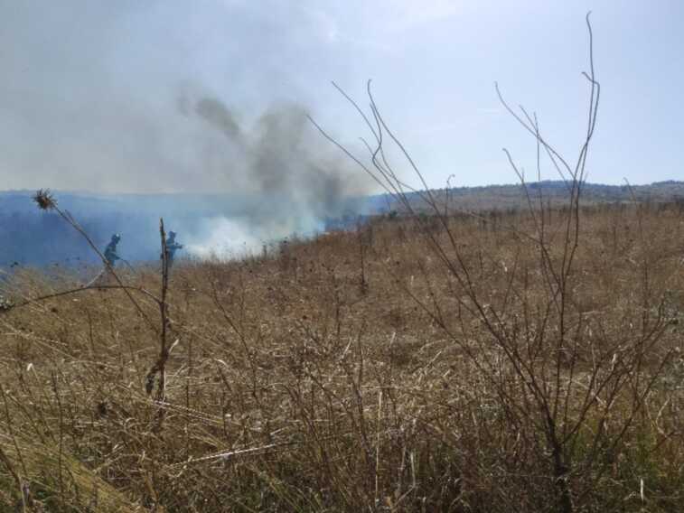 Galleria foto 'Minervino Murge, brucia il bosco Montelisciacoli: fiamme alimentate dal vento – FOTO' - foto 4