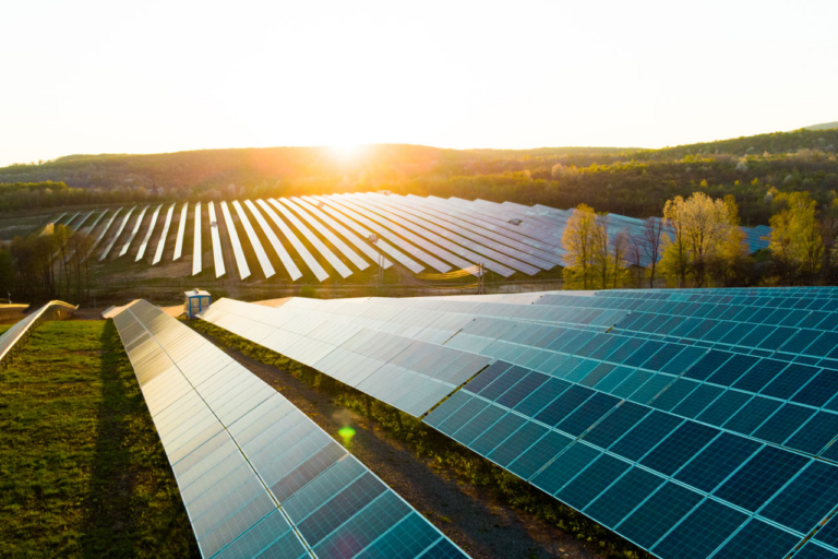 Ecco il parco fotovoltaico più grande della Basilicata
