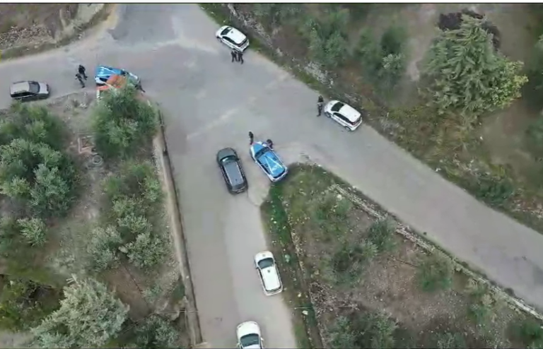 Bat, nei pattugliamenti contro i ladri di olive spuntano anche sei autovetture rubate