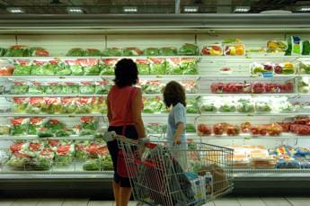 Ricerca, ecco cibo per gen-Z, &nbsp;priorità a prodotti italiani e sostenibilità&nbsp;