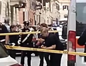 Galleria foto 'Roma, rottweiler cade da finestra in via Frattina e centra passante: grave donna incinta' - foto 1