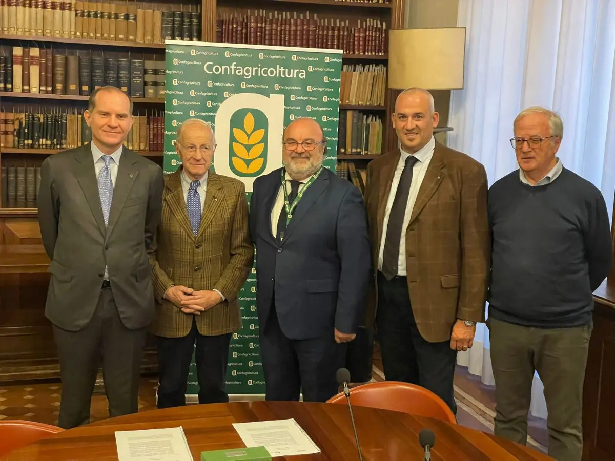 Galleria foto 'Olio Evo, accordo Confagricoltura-Unapol per slancio al comparto' - foto 1