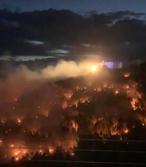 Peschici, da ieri sera brucia una zona di macchia mediterranea: 6 ettari in fumo