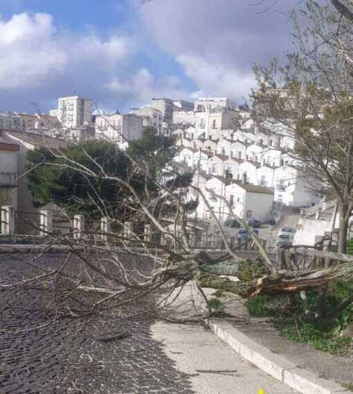 Galleria foto 'Forte vento e neve nel Foggiano: allerta meteo gialla in tutta la Puglia' - foto 2