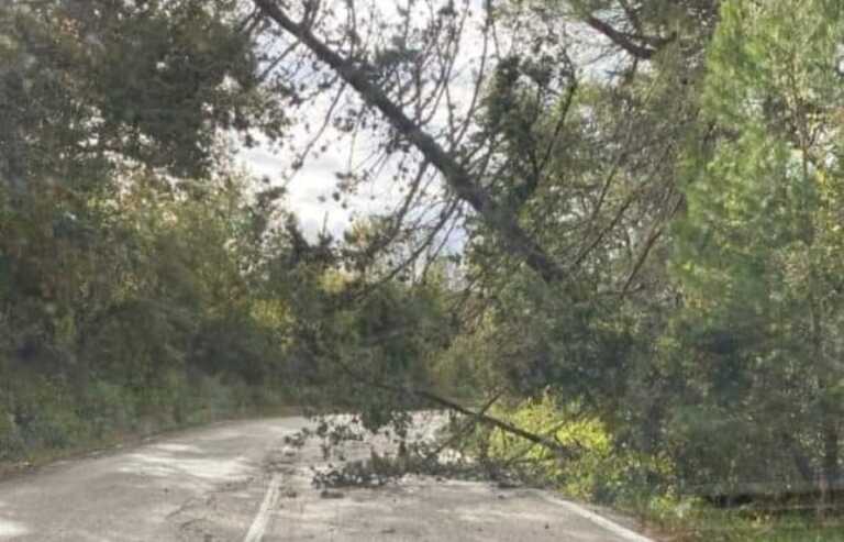 Disagi per il maltempo nel Foggiano: oltre 30 gli interventi dei vigili del fuoco
