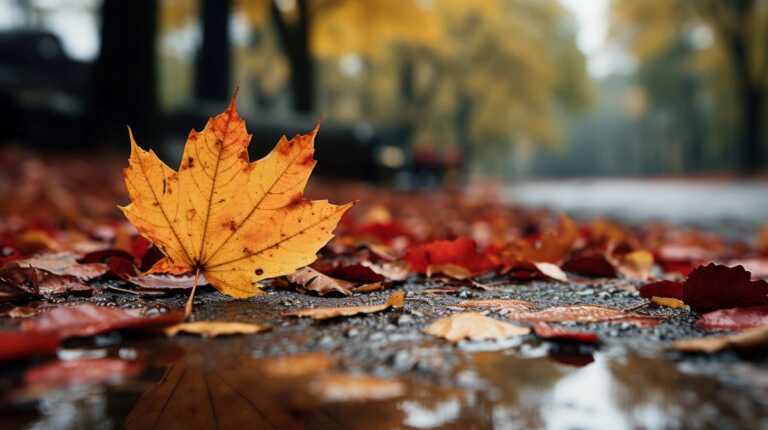 Meteo, stop al maltempo solo nel weekend: si prospetta un autunno instabile in Puglia
