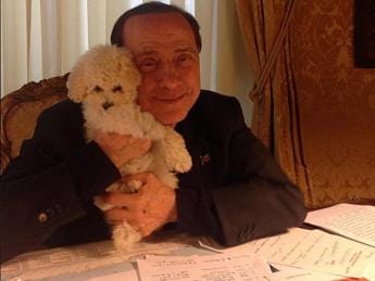 Galleria foto 'Berlusconi, la seconda vita di Dudù: il barboncino resta con Fascina ad Arcore' - foto 1