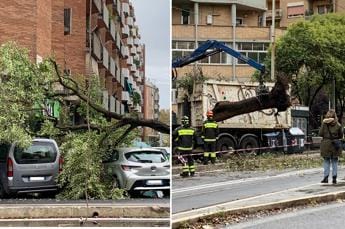 Galleria foto 'Bomba d’acqua su Roma, cade un albero e stop al tram 8' - foto 1
