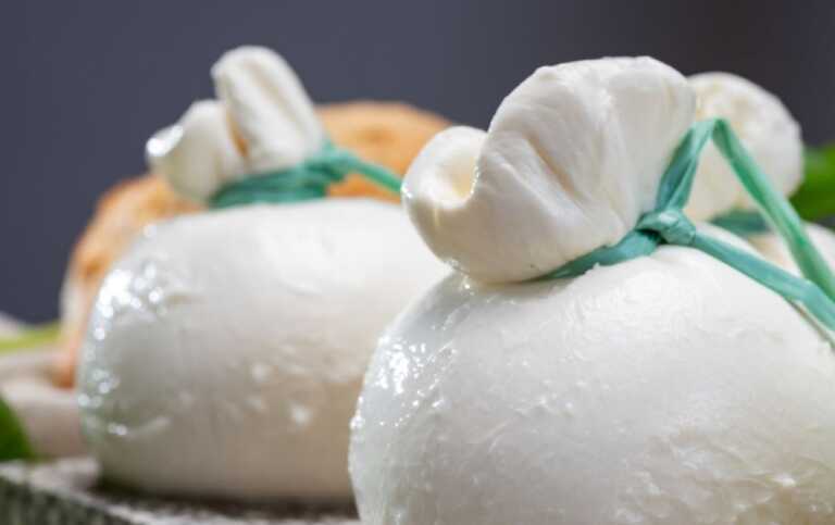 La burrata di Andria conquista la Cina: la dedica sul quotidiano del distretto del Canton