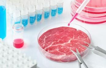 Galleria foto 'Carne sintetica in Parlamento? In attesa della legge, c’è chi dice (già) no' - foto 1